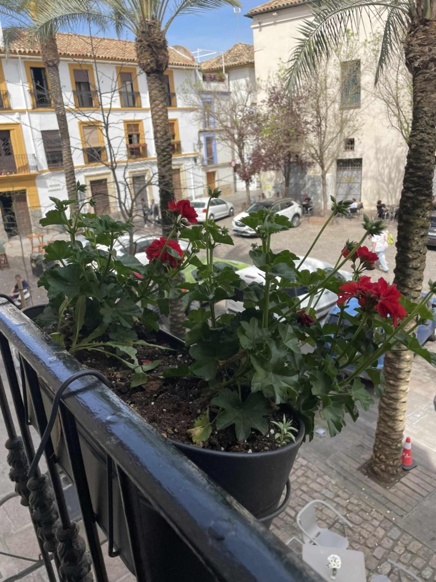 Apartamento Centrico Corredera Cordoba Exterior photo